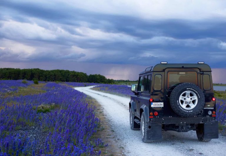 A Road Trip Through the French Countryside