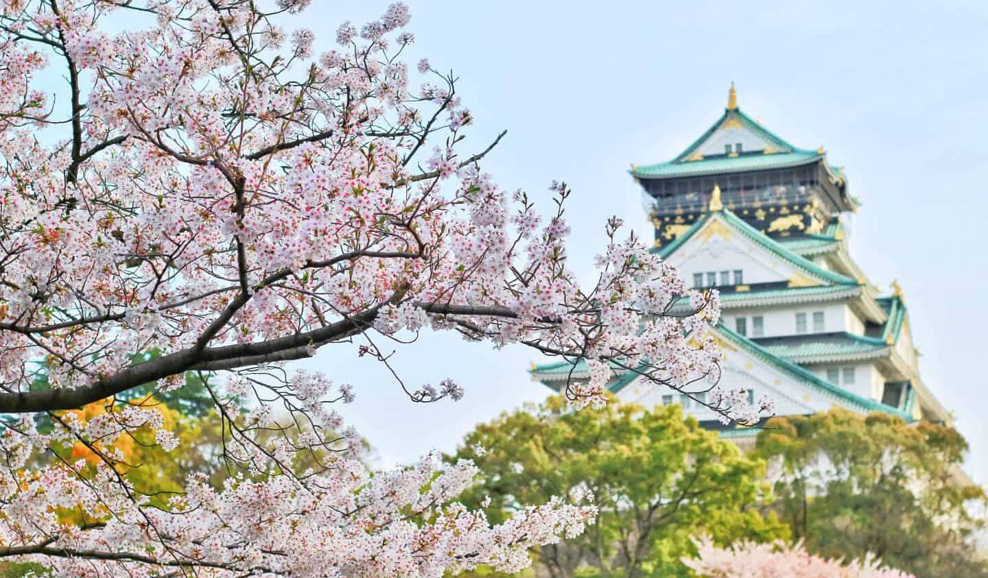 The Beauty of Japanese Gardens: Zen and Tranquility